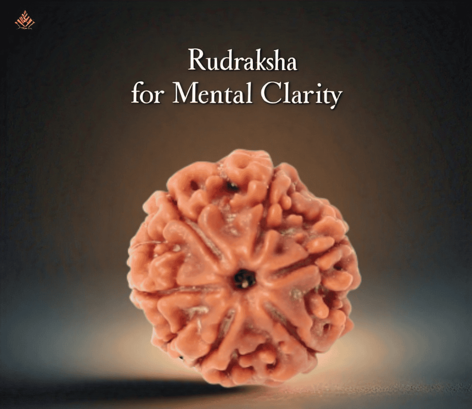 The Benefits of Rudraksha for Mental Clarity